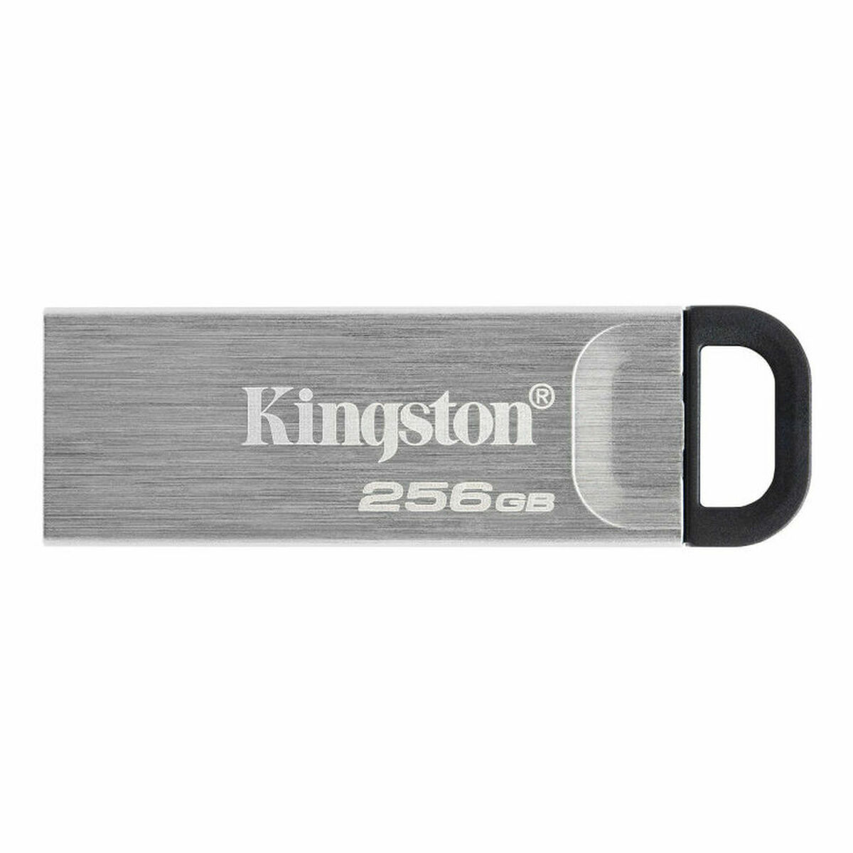 USB flash disk Kingston Černý 256 GB